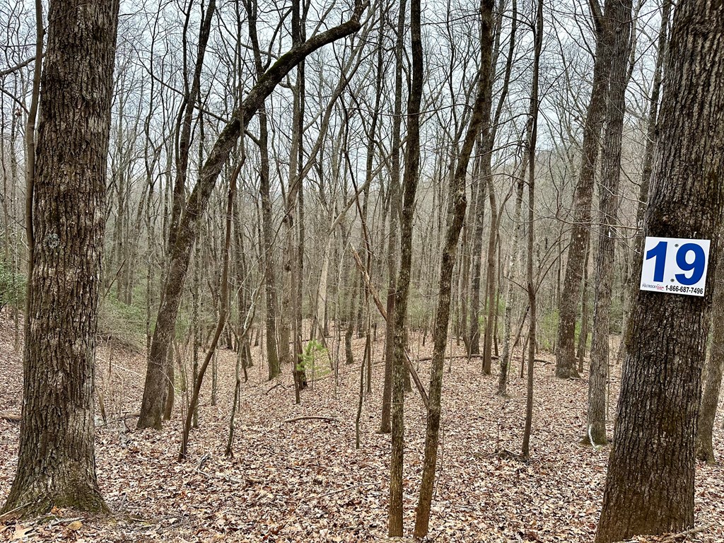 15-19 Indian Rock Springs #15-19, MURPHY, North Carolina image 31