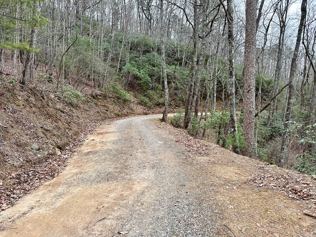 15-19 Indian Rock Springs #15-19, MURPHY, North Carolina image 25