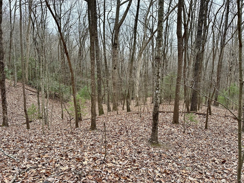 15-19 Indian Rock Springs #15-19, MURPHY, North Carolina image 33