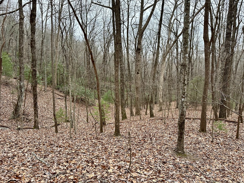 15-19 Indian Rock Springs #15-19, MURPHY, North Carolina image 34