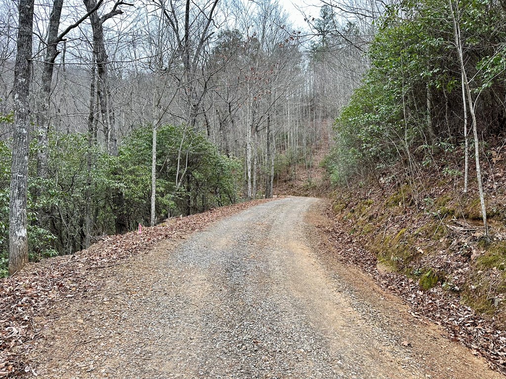 15-19 Indian Rock Springs #15-19, MURPHY, North Carolina image 4