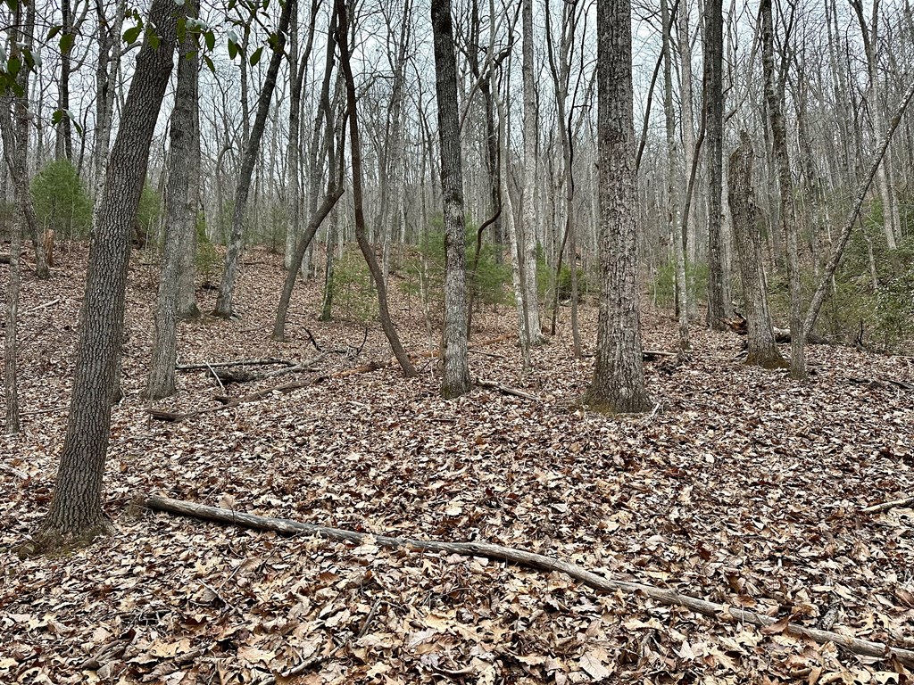 15-19 Indian Rock Springs #15-19, MURPHY, North Carolina image 43