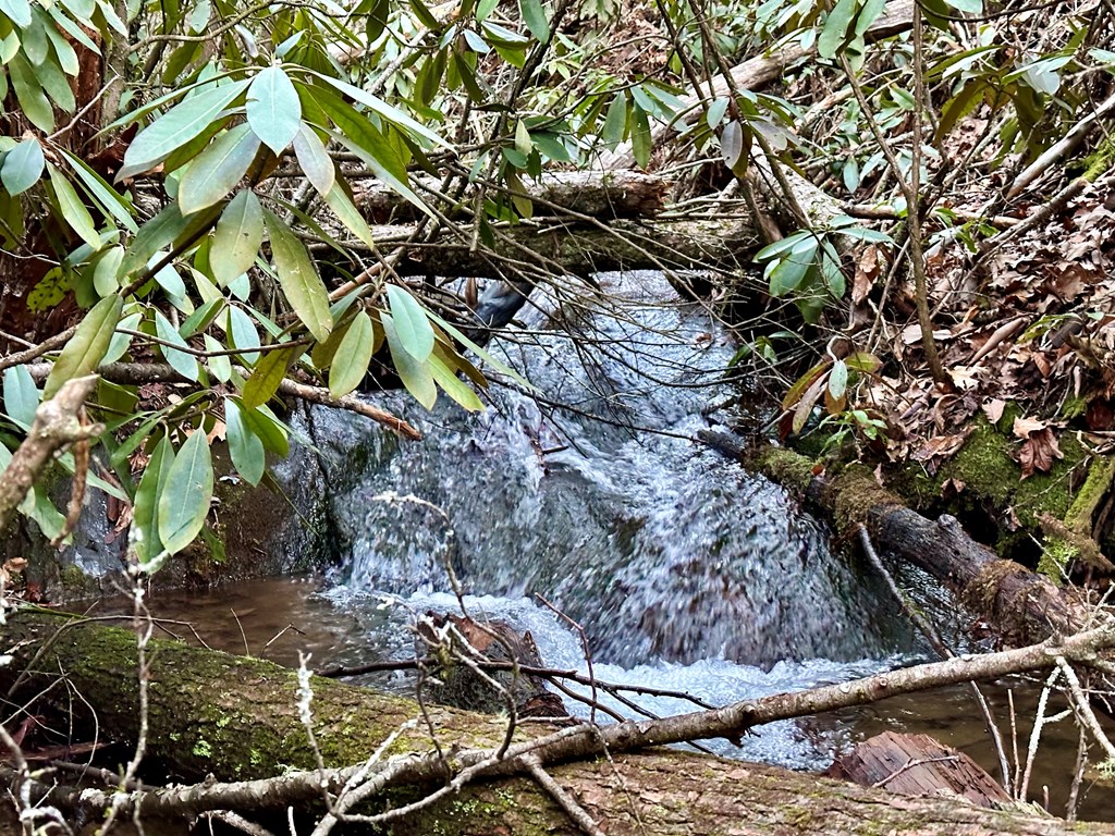 15-19 Indian Rock Springs #15-19, MURPHY, North Carolina image 45