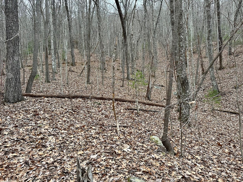 15-19 Indian Rock Springs #15-19, MURPHY, North Carolina image 35