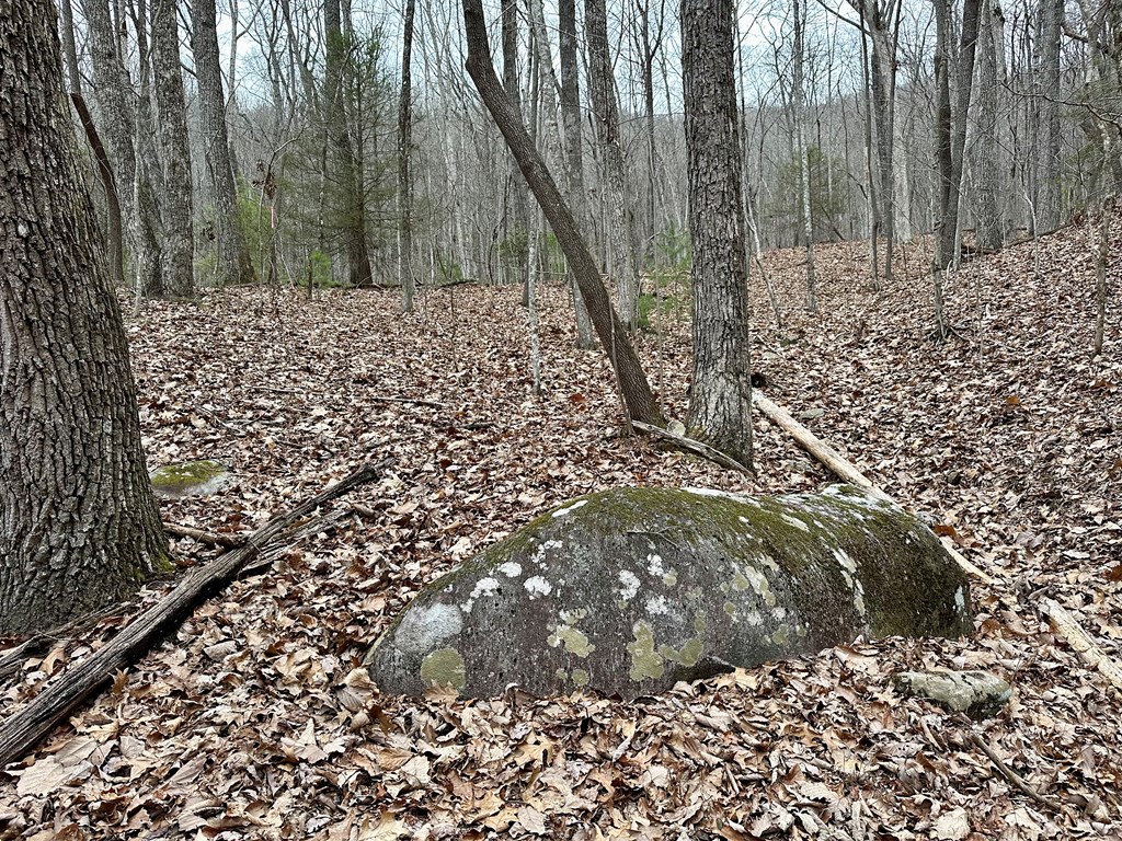 15-19 Indian Rock Springs #15-19, MURPHY, North Carolina image 39