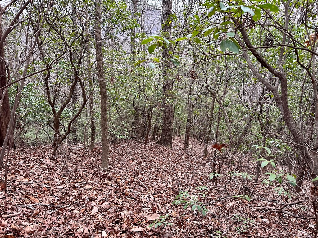 15-19 Indian Rock Springs #15-19, MURPHY, North Carolina image 16