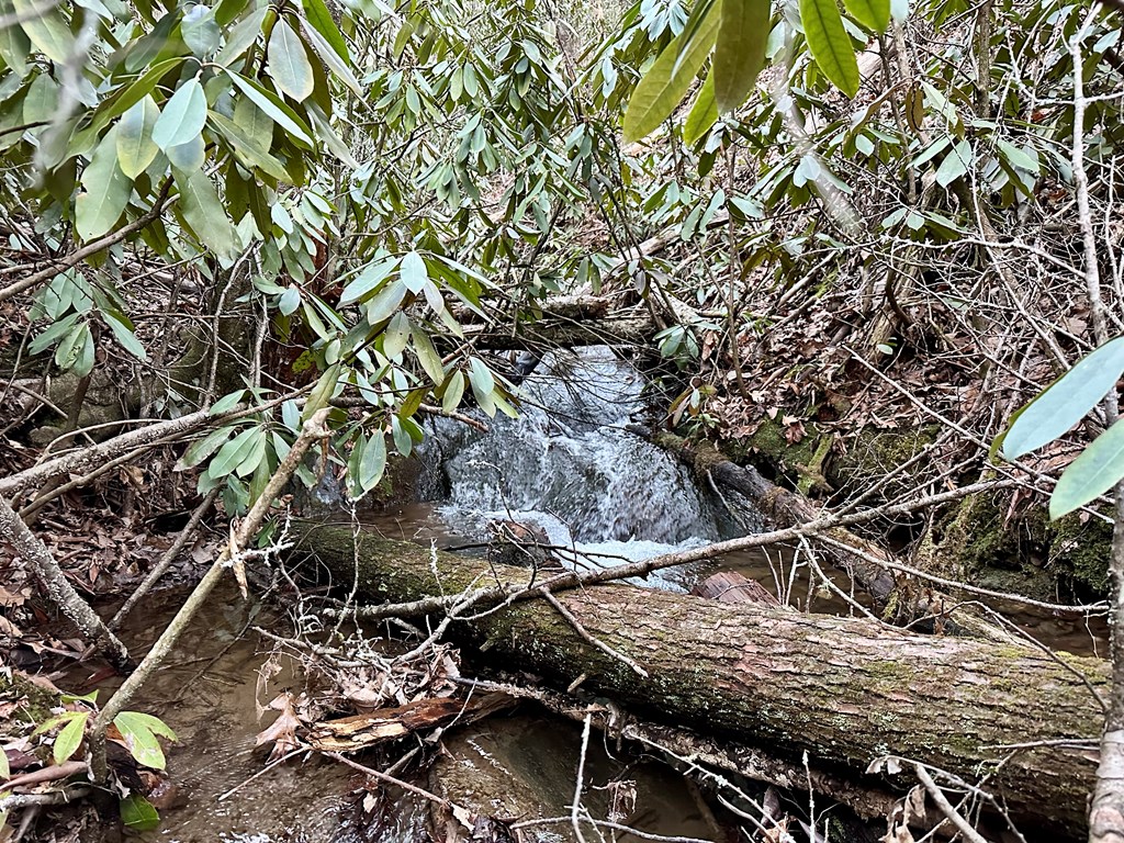 15-19 Indian Rock Springs #15-19, MURPHY, North Carolina image 46