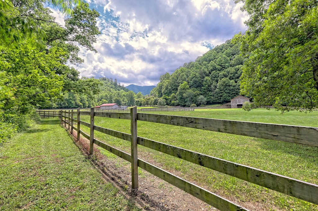 8758 Tusquittee Road, HAYESVILLE, North Carolina image 4