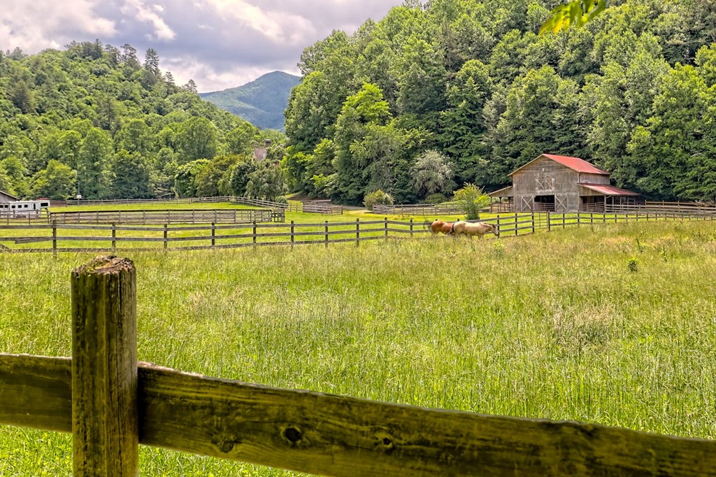 8758 Tusquittee Road, HAYESVILLE, North Carolina image 5