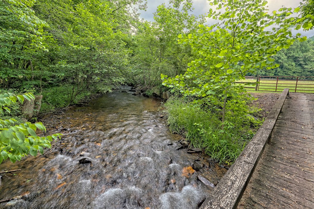 8758 Tusquittee Road, HAYESVILLE, North Carolina image 3