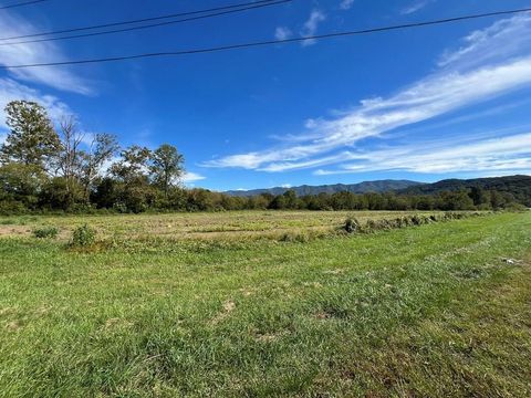 Vacant Land For Sale - 00 Marble Plant Road<br/> MARBLE, NC 28905
