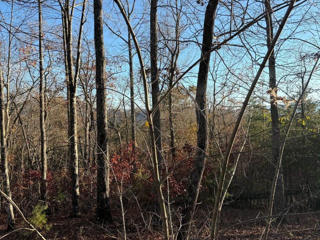 Lot 26-A Licklog Ridge, HAYESVILLE, North Carolina image 2