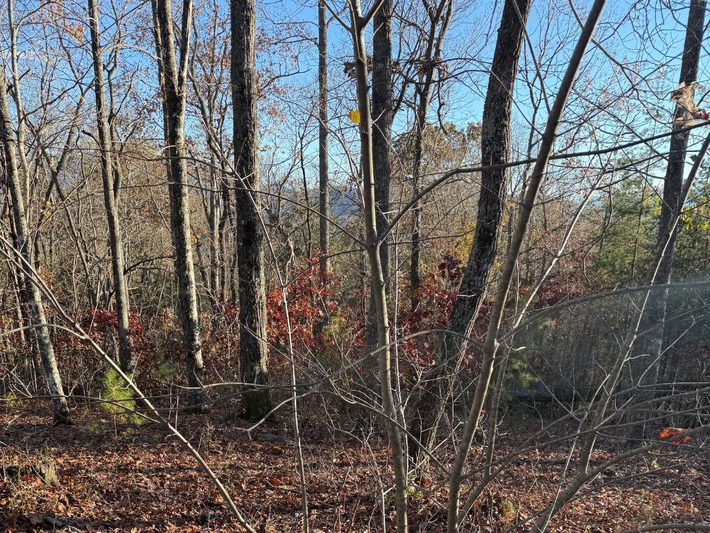 Lot 26-A Licklog Ridge, HAYESVILLE, North Carolina image 4