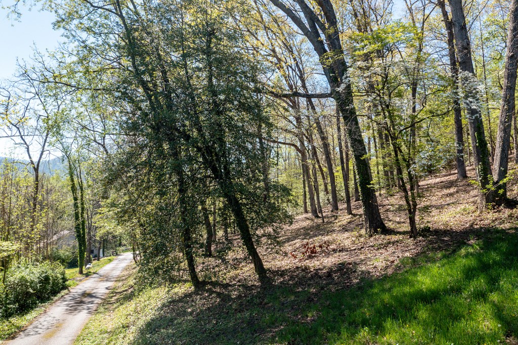 Lot 3 - 231 Kilpatrick Point Lane #3, HAYESVILLE, North Carolina image 4