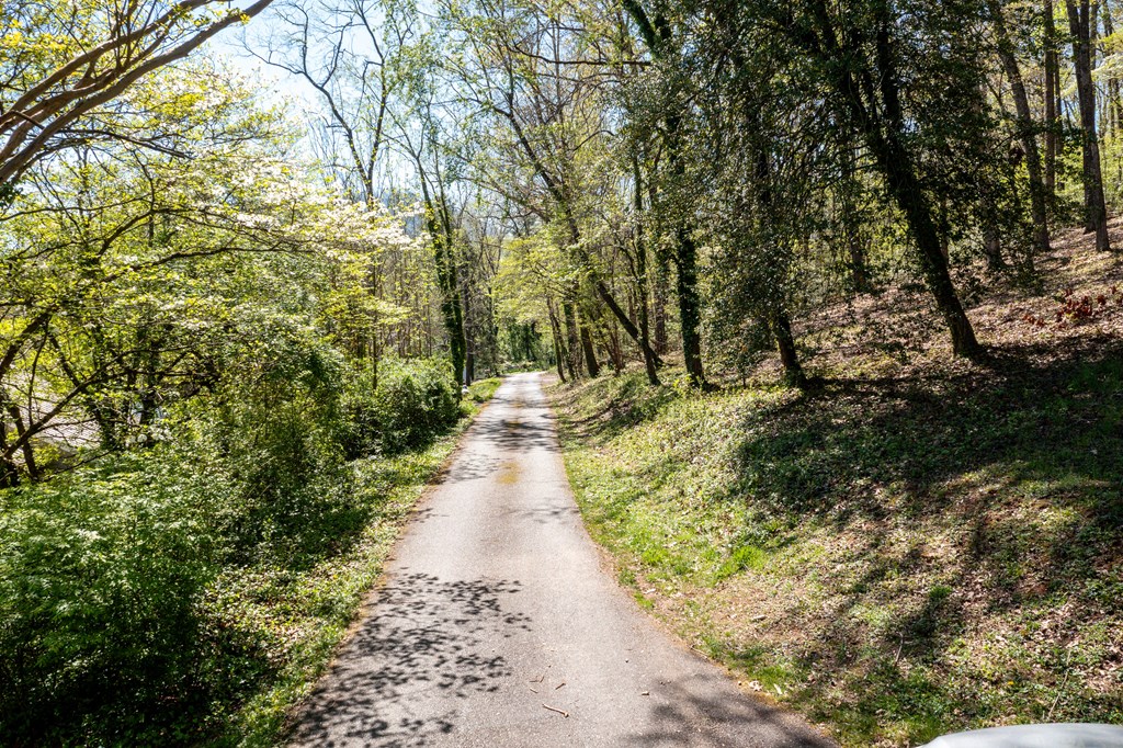 Lot 3 - 231 Kilpatrick Point Lane #3, HAYESVILLE, North Carolina image 3