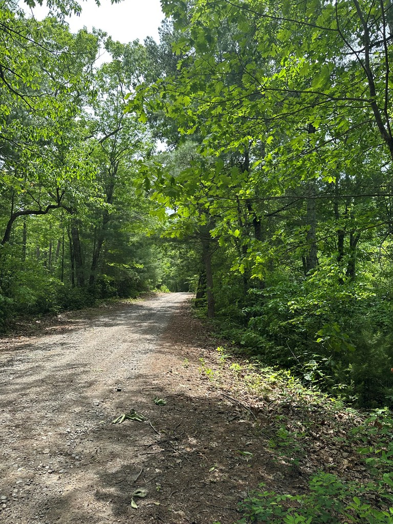 00 Top Horseshoe Ridge #6, MURPHY, North Carolina image 4