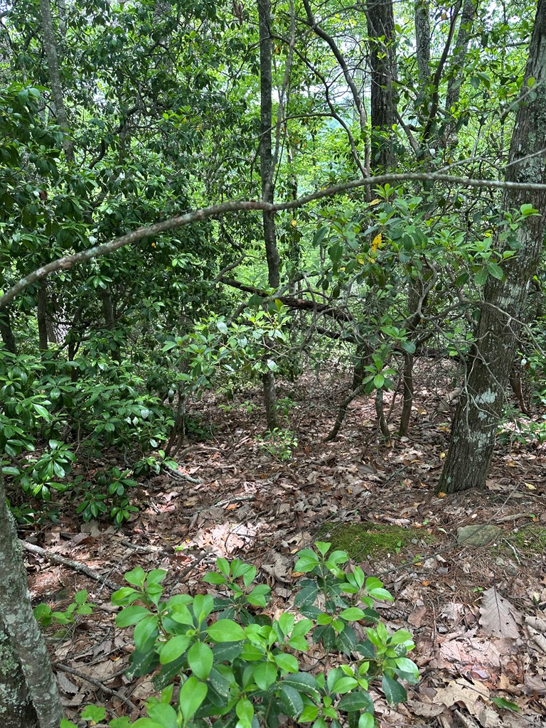 00 Top Horseshoe Ridge #6, MURPHY, North Carolina image 2