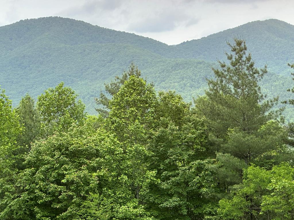 00 Top Horseshoe Ridge #6, MURPHY, North Carolina image 1