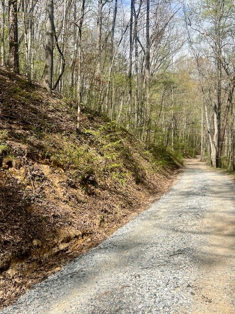 00 Gunter Hollow #E-2, ROBBINSVILLE, North Carolina image 2