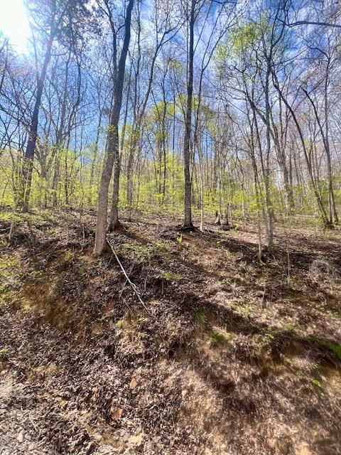 Vacant Land For Sale - 00 Gunter Hollow #E-2<br/> ROBBINSVILLE, NC 28771