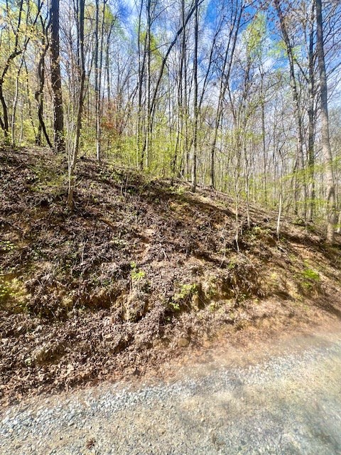 00 Gunter Hollow #E-2, ROBBINSVILLE, North Carolina image 6