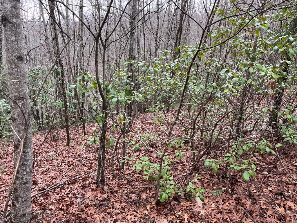 19 Lots Crockett Mountain, HAYESVILLE, New York image 44