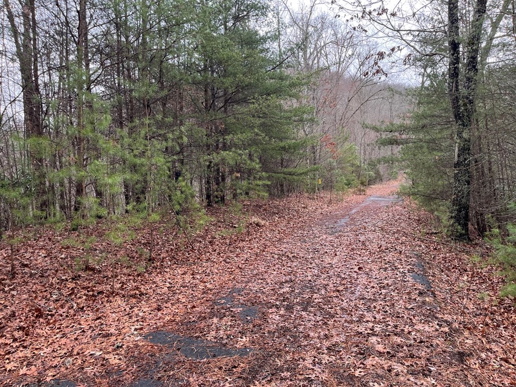 19 Lots Crockett Mountain, HAYESVILLE, New York image 38