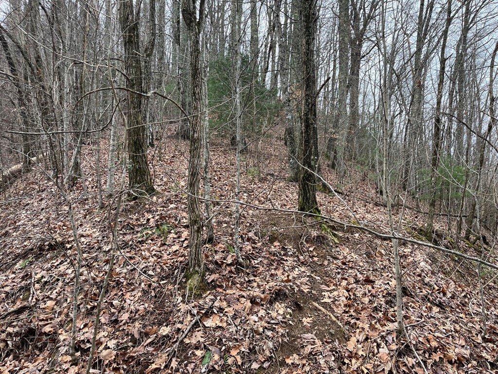 19 Lots Crockett Mountain, HAYESVILLE, New York image 27