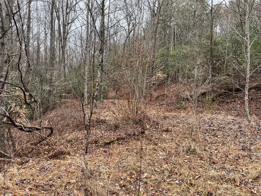 19 Lots Crockett Mountain, HAYESVILLE, New York image 46