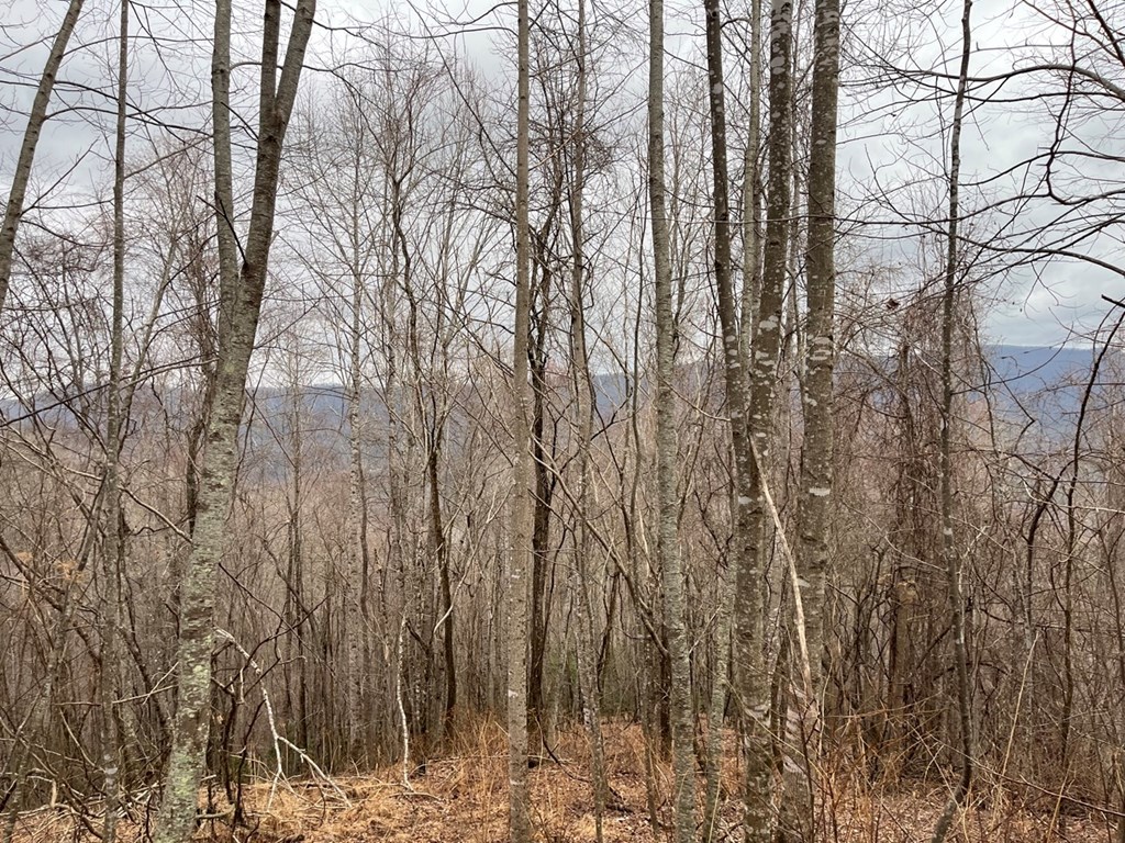 19 Lots Crockett Mountain, HAYESVILLE, New York image 16
