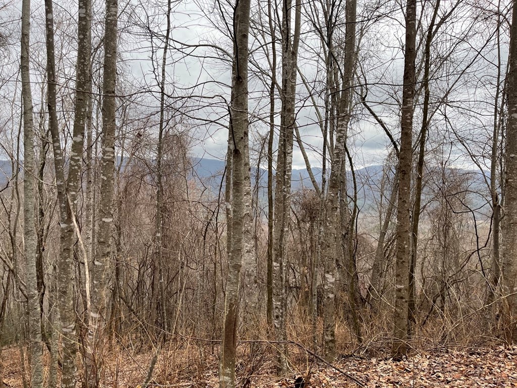 19 Lots Crockett Mountain, HAYESVILLE, New York image 15