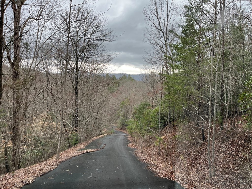 19 Lots Crockett Mountain, HAYESVILLE, New York image 45