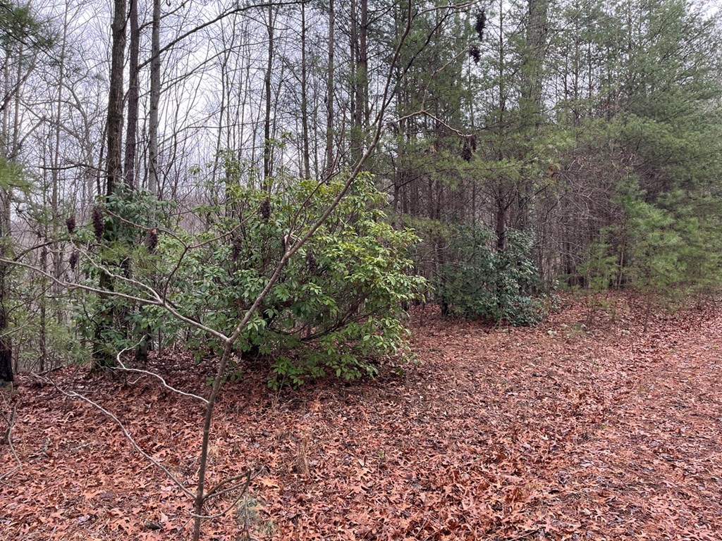 19 Lots Crockett Mountain, HAYESVILLE, New York image 42