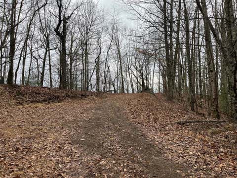 Vacant Land For Sale - 19 LOTS Crockett Mountain<br/> HAYESVILLE, NC 28904