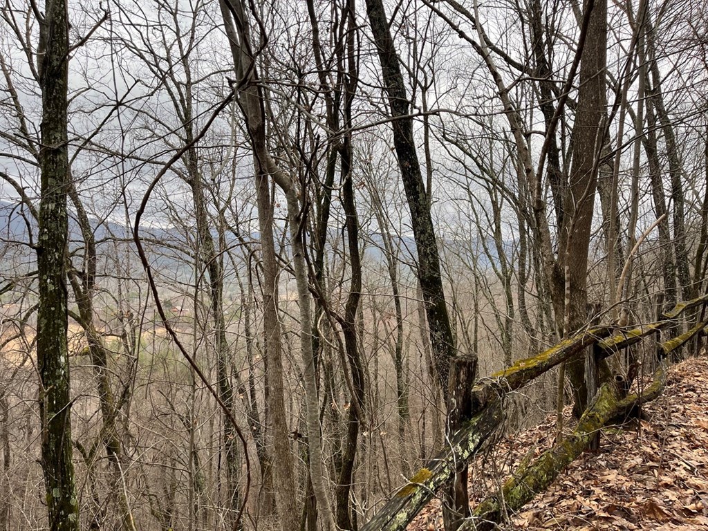 19 Lots Crockett Mountain, HAYESVILLE, New York image 24