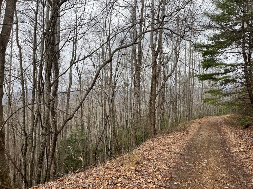 19 Lots Crockett Mountain, HAYESVILLE, New York image 11