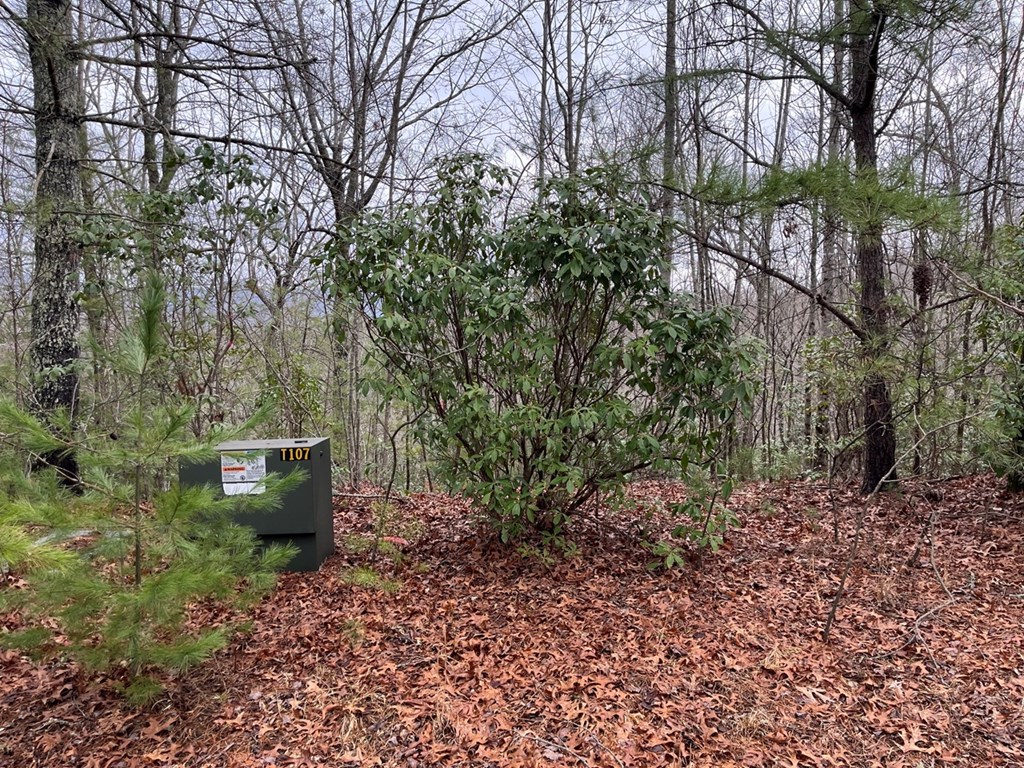 19 Lots Crockett Mountain, HAYESVILLE, New York image 41