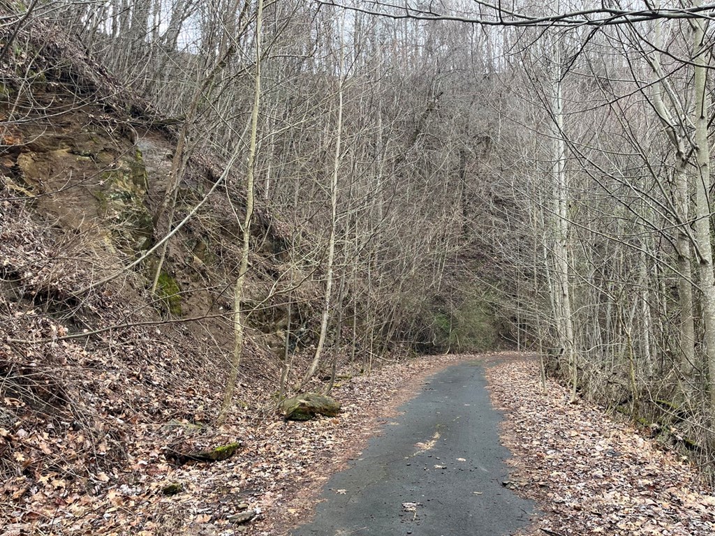 19 Lots Crockett Mountain, HAYESVILLE, New York image 25