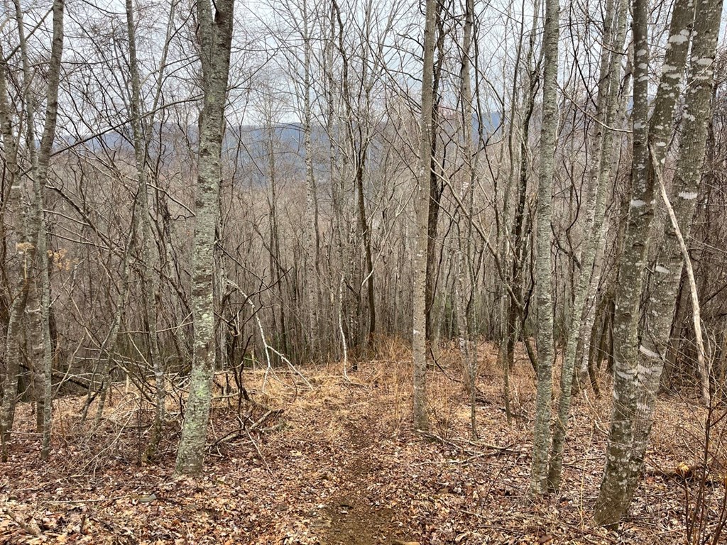 19 Lots Crockett Mountain, HAYESVILLE, New York image 20
