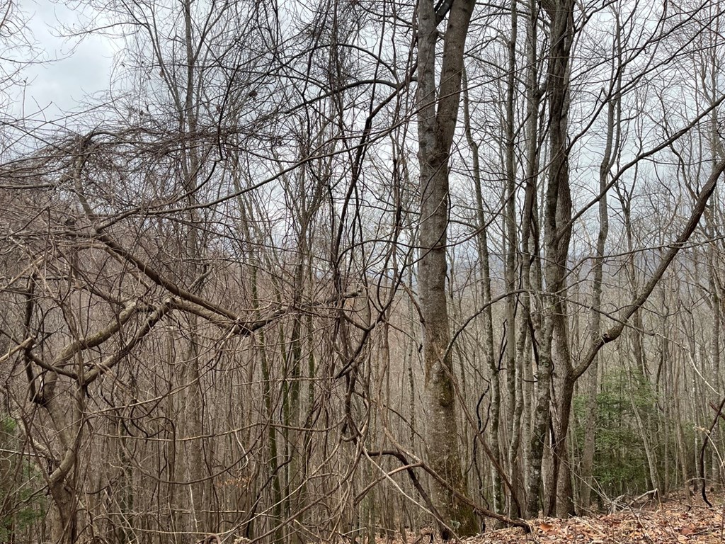 19 Lots Crockett Mountain, HAYESVILLE, New York image 12