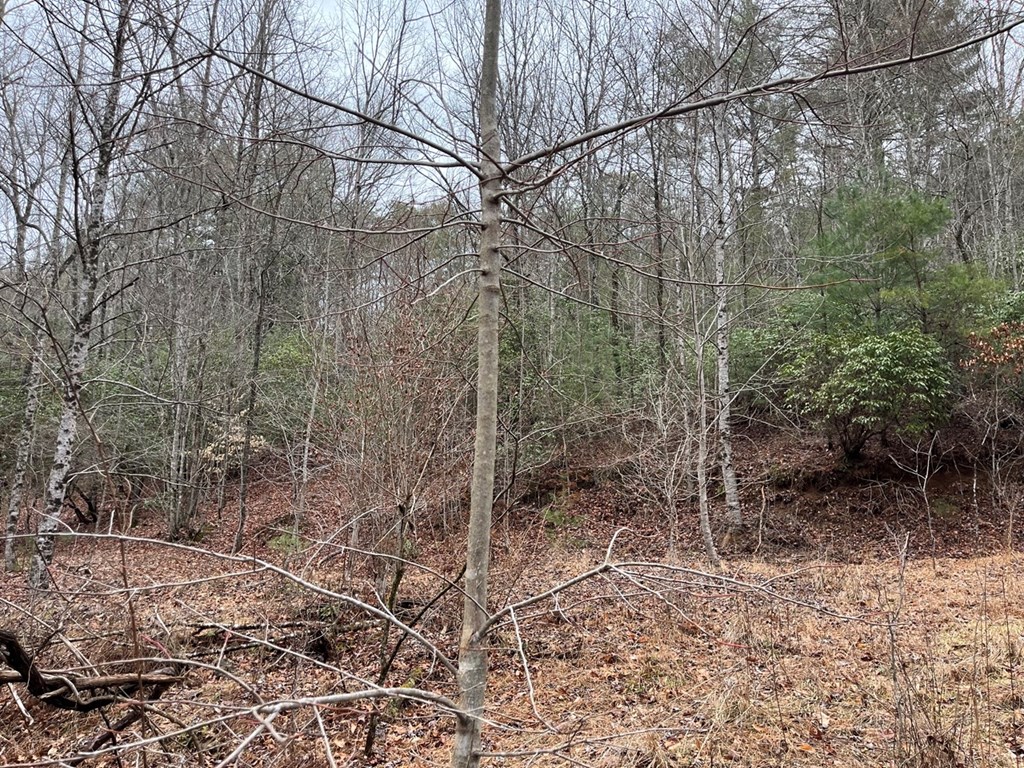 19 Lots Crockett Mountain, HAYESVILLE, New York image 48