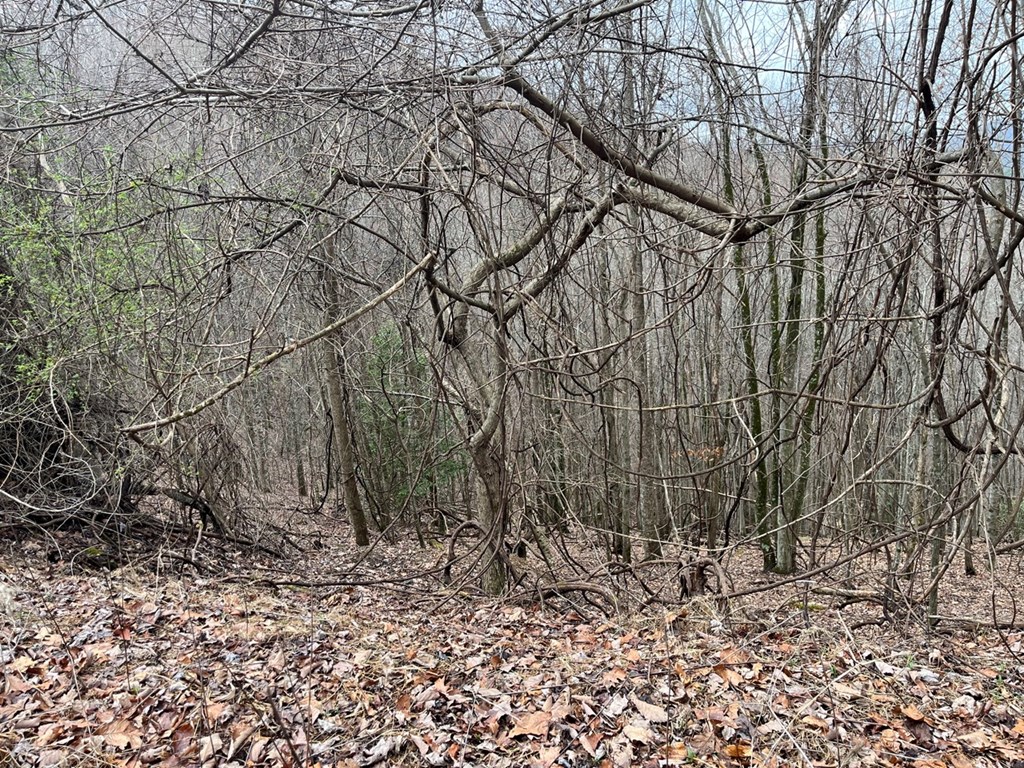 19 Lots Crockett Mountain, HAYESVILLE, New York image 13