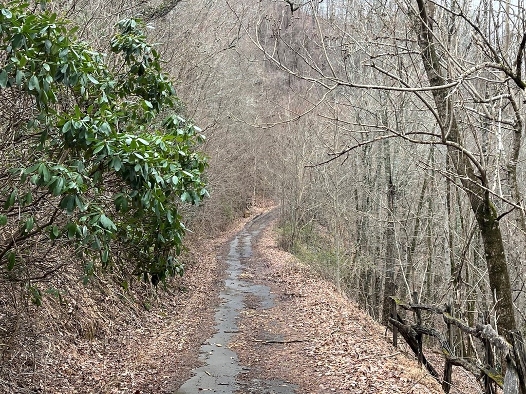 19 Lots Crockett Mountain, HAYESVILLE, New York image 7