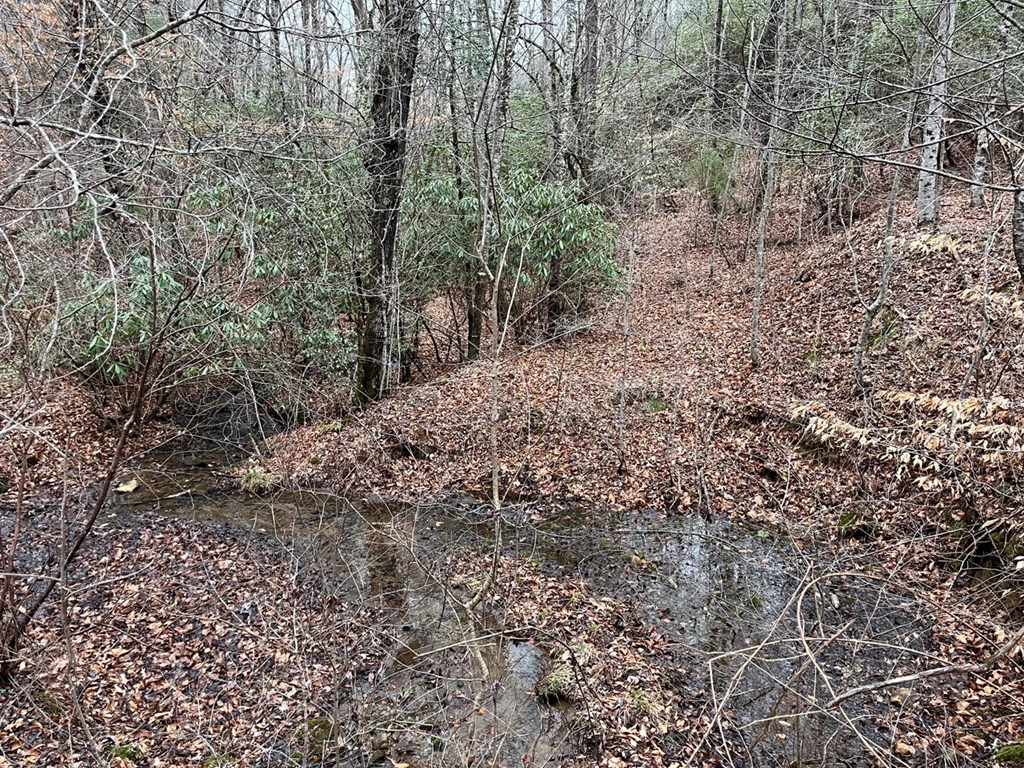 19 Lots Crockett Mountain, HAYESVILLE, New York image 49