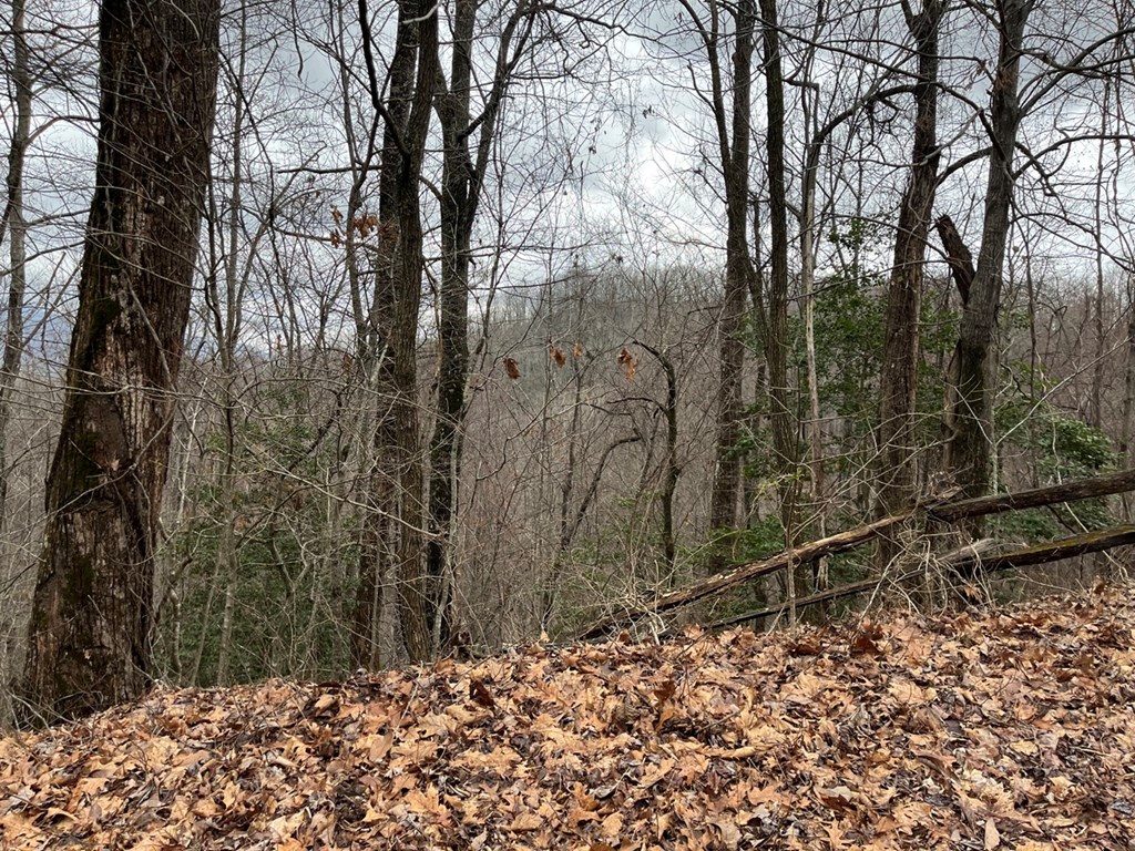 19 Lots Crockett Mountain, HAYESVILLE, New York image 31