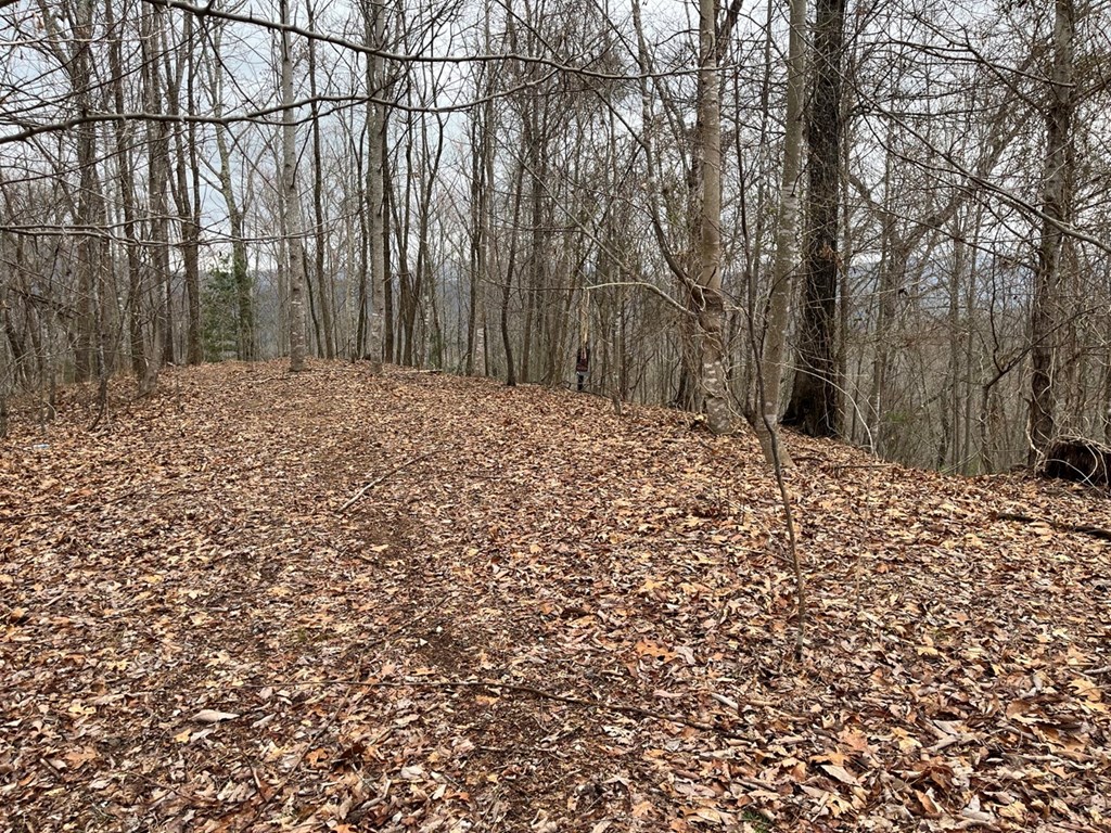 19 Lots Crockett Mountain, HAYESVILLE, New York image 33