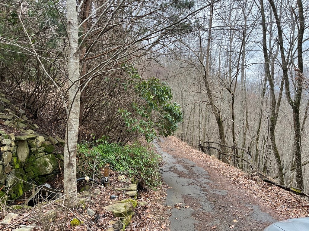 19 Lots Crockett Mountain, HAYESVILLE, New York image 3