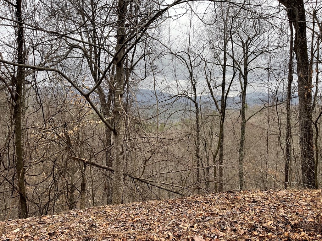 19 Lots Crockett Mountain, HAYESVILLE, New York image 37