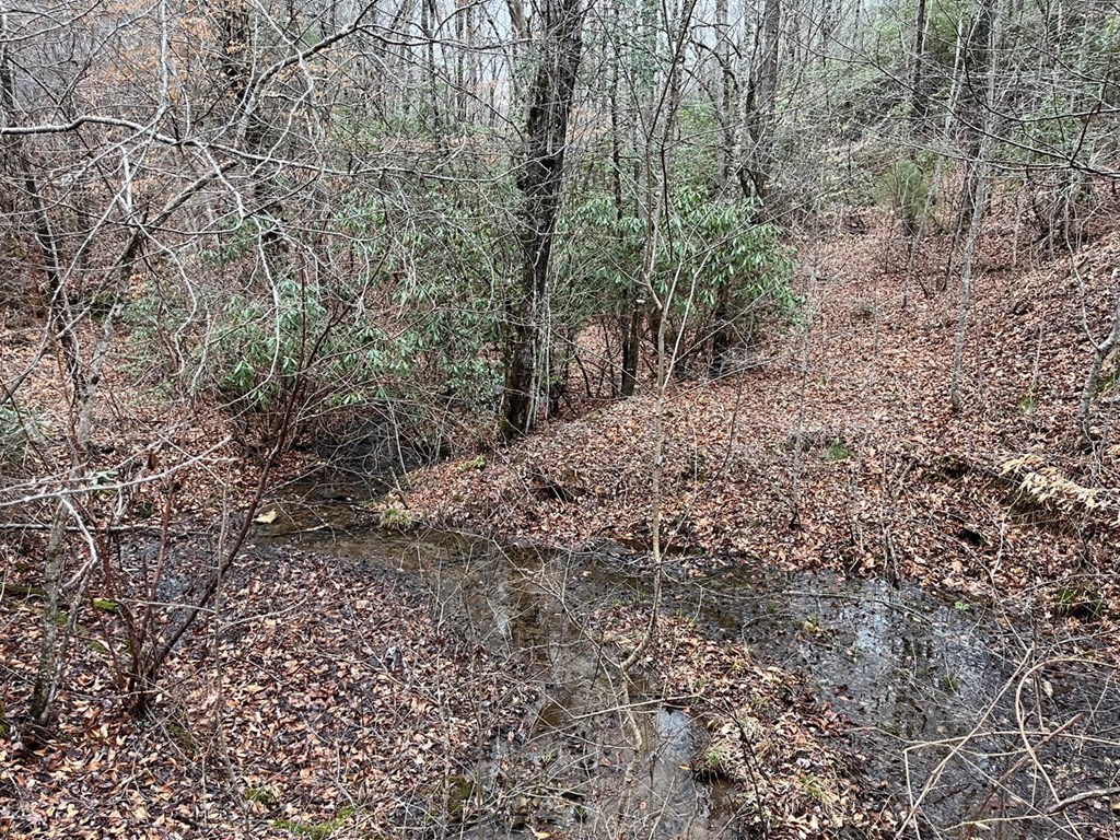 19 Lots Crockett Mountain, HAYESVILLE, New York image 50