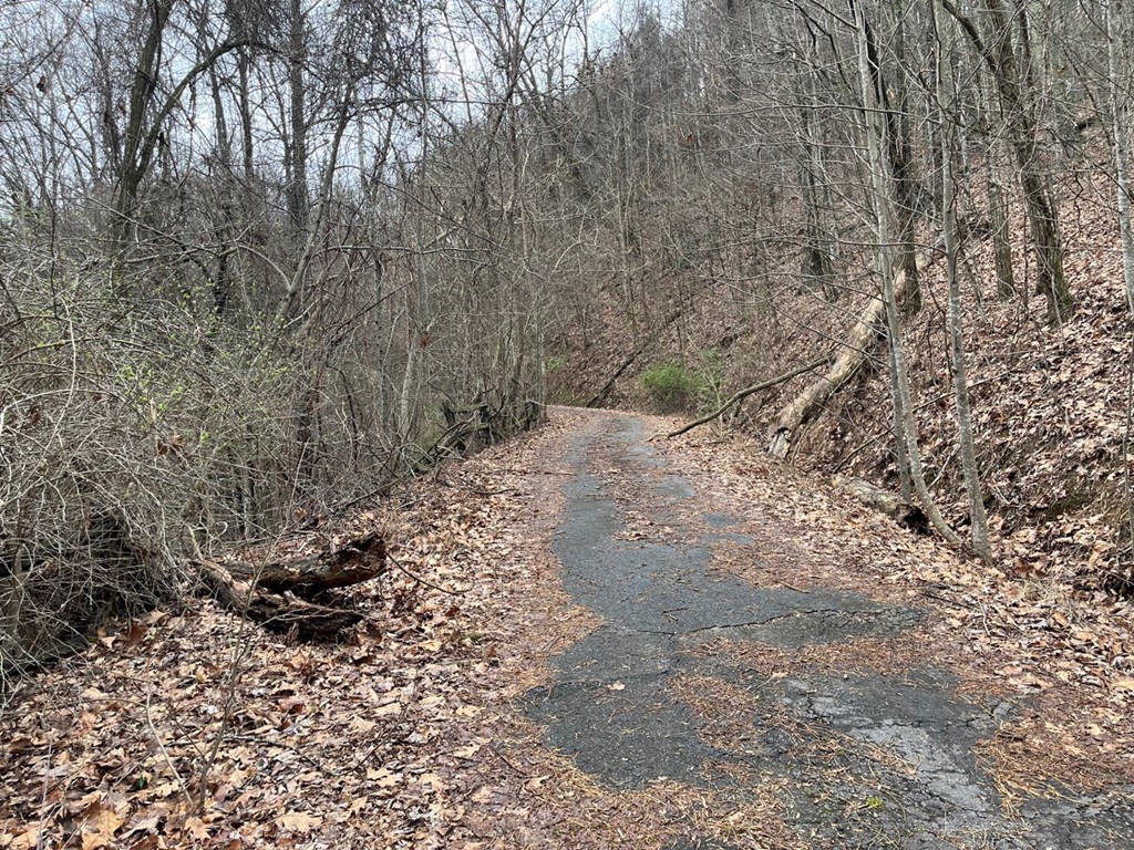 19 Lots Crockett Mountain, HAYESVILLE, New York image 32